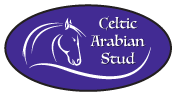 Celtic Arabian Stud